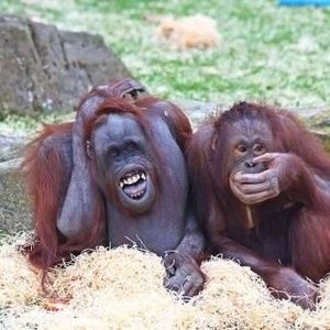 Meet your Posher, Timothy